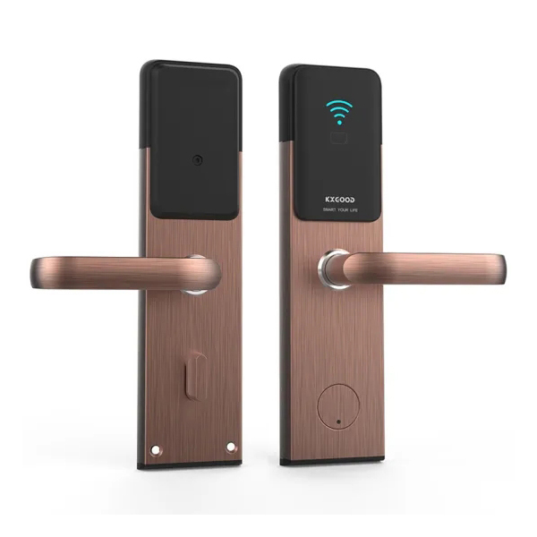 Fonction de la maison électronique électrique Tuya App Wifi Smart Lock